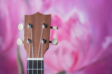 Brown ukulele guitar portrait on pink drawn texture Wall plaster ,Vintage dark tone holiday relax break time with music or art concept with copy space for your text