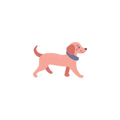 Flat dachshund dog. vector illustration of pet.  Animal cartoon character.