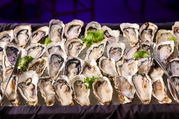 fresh oysters on the market.
