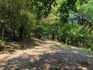 公園