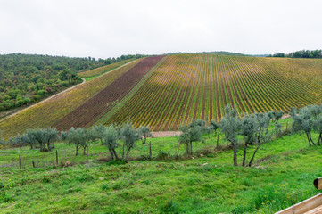 Fototapeta na wymiar Countryside landscape and Tuscan hills in Chianti, Castellina in Chianti, Siena
