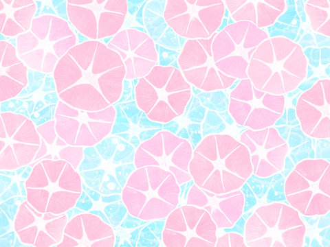 水色の朝顔 画像 参照 1 119 Stock 写真 ベクターおよびビデオ Adobe Stock