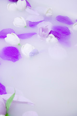 violet and white flowers in milk white bath close up