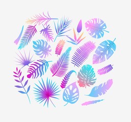 Fototapeta na wymiar Set of vector illustration of tropical fern leaves in color Purple, yellow, light blue .Exotic art design. Natural decorative element decorative background for textile print and decor.