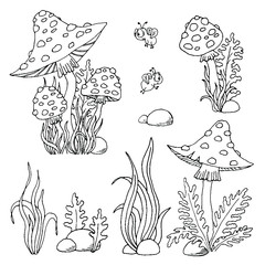 Set mushroom mushroom drawing in black outline on a white background