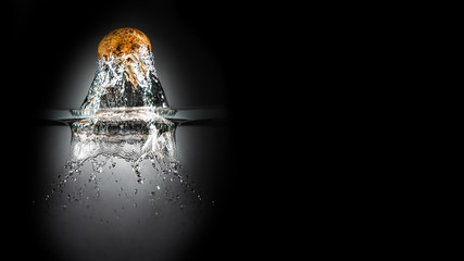 isolated Mushroom falling into water with black background