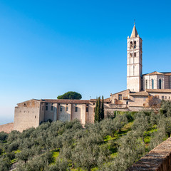 Fototapeta na wymiar Assisi, the city of peace, Italy. UNESCO World Heritage Site, the birthplace of Saint Francis. View of the Basilica of Saint Chiara and the hill with olive trees in front.