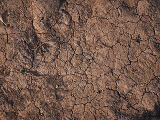 Dry ground texture with cracks. Bottom of a dried lake