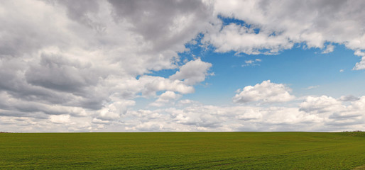panorama horizon spring green field sown against the sky with clouds