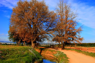 Walking way next to an aqueduct in the area of Pla del Bages with end in the Parc de la Sequia