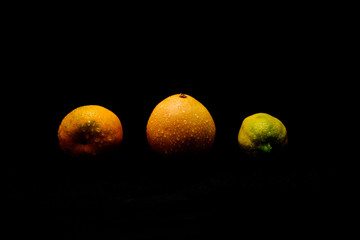 Citrus Orange Lemon and Tangerine 