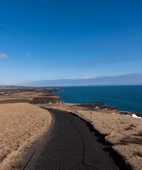 Pathway alongside coast
