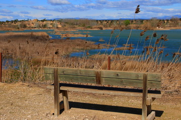 Natural area of Lake Ivars and Vilasana. A place to enjoy all kinds of birds and walk around in the...