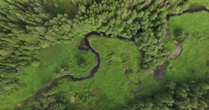 4K aerial bright summer day high quality video footage of lush bright green panoramic woods and pristine forest river in rural countryside in Yaroslavl region of Russia