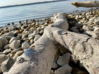 rocks on the beach