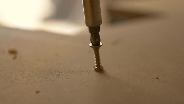 Macro, destornillador enroscando un tornillo en una tabla en un taller de carpinter&iacute;a