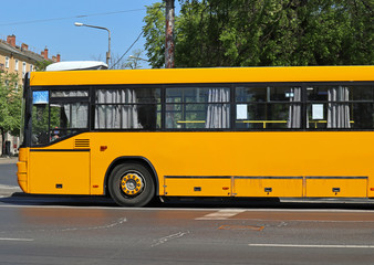Fototapeta na wymiar Bus standing at the road crossing