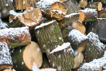 Cut log wood covered with snow. Natural firewood outdoors in winter season.