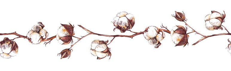 Seamless border of realistic dry cotton branches, boxes and buds. Colorful delicate decoration. Watercolor hand painted isolated elements on white background. - obrazy, fototapety, plakaty