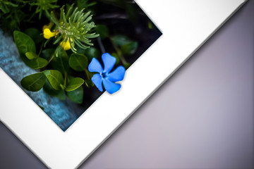 Beautiful spring and summer background frame for greeting cards from wildflowers.