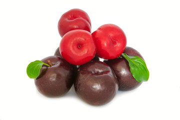 plums on a big background, isolate. bright plums black or red without background.