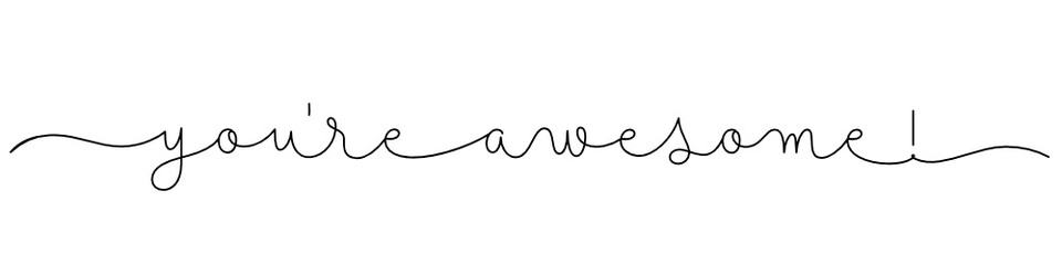 YOU'RE AWESOME! black vector monoline calligraphy banner with swashes