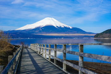山中湖畔の木道から富士山