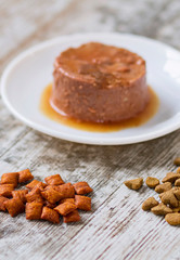 Cat food and toys for a healthy feline life