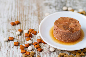 Cat food and toys for a healthy feline life
