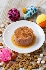 Cat food and toys for a healthy feline life