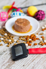 Cat food and toys for a healthy feline life