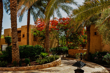 Old light yellow buildings with palm trees, red flowers and narrow path under a blue sky