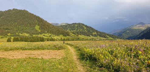 landscape of the mountains