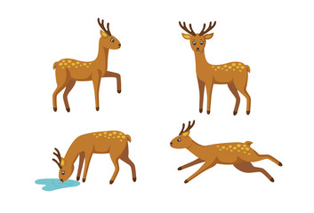 Set of four deers for cute patterns and designs. Vector illustration in cartoon style