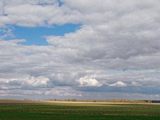Fototapeta na wymiar panorama horizon spring green field sown against the sky with clouds