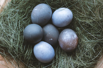 Obraz premium Easter blue eggs dry grass. Top view.