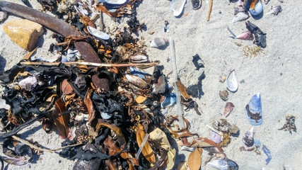 Single-use plastic items litter the beach front in Sea Point, Cape Town. 