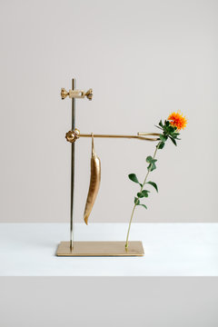 Flor y chilli dorado