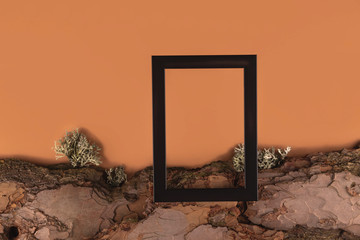 Tree bark on a neutral paper background with black frame in a minimalistic wabi sabi style....
