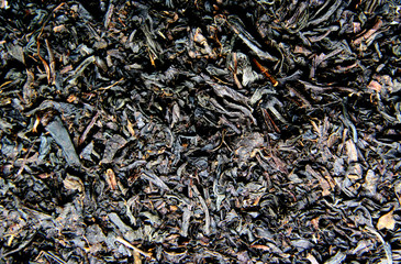 Loose black tea, macro