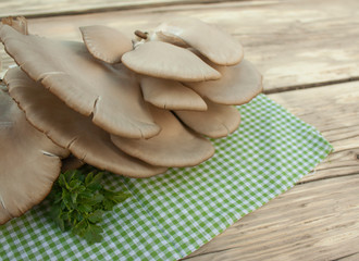 Fototapeta na wymiar oyster mushrooms and parsley close-up on a tissue napkin on a wooden table