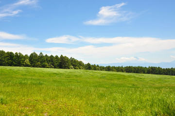 草原と森と山と青空