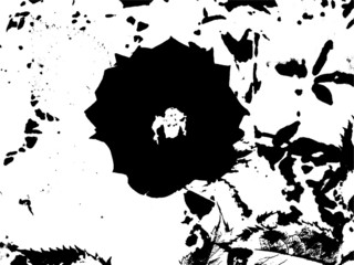 ink splat grunge background