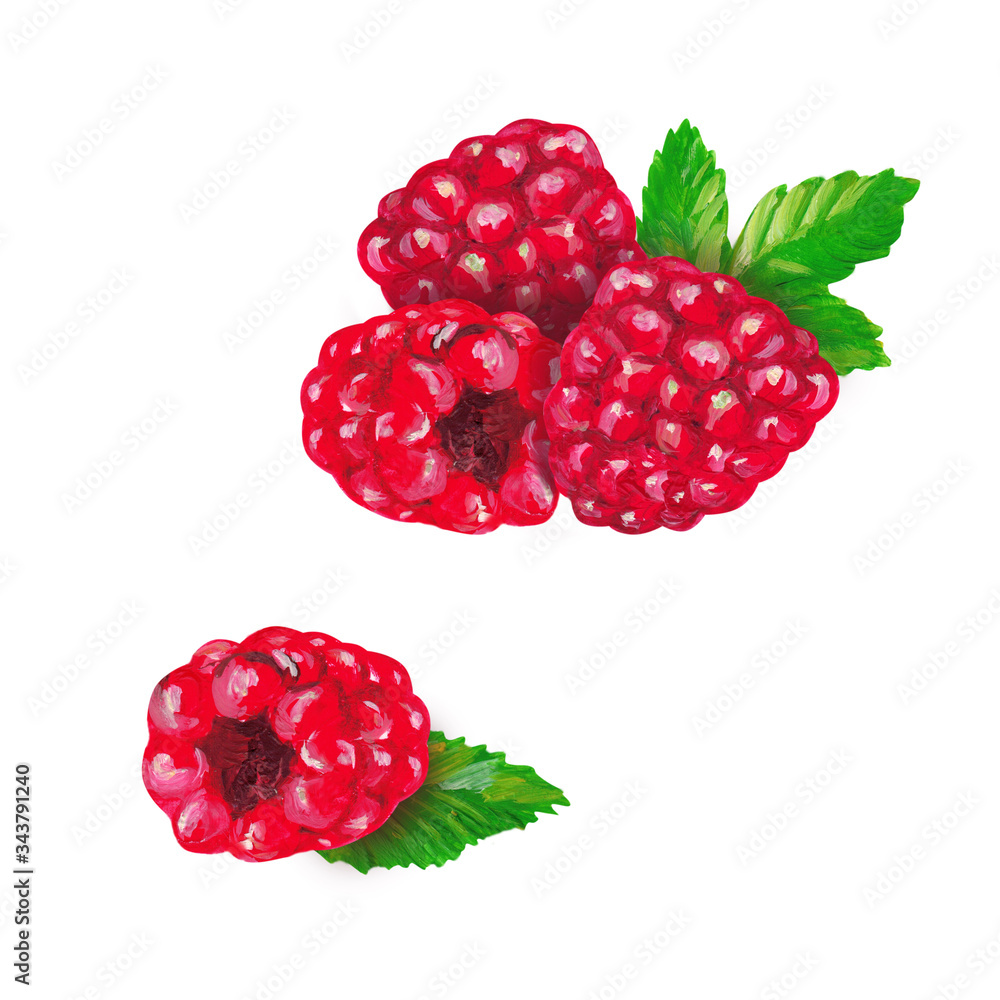 Wall mural Raspberries with leaves on a white background. Hand drawing.