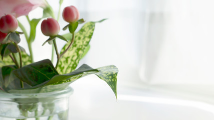 A small spring bouquet in a vase. Red hipericum and gold dust dracaena.