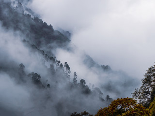 Fog and mist in the mountains of Sikkim, India