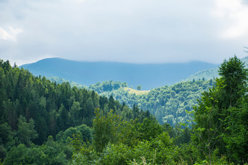 Fototapeta na wymiar Mountain valley with slopes covered with forests and fir trees on a foreground against the distant range in summer, Carpathian Mountains, panoramic view