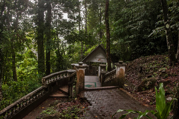 Fototapeta na wymiar Abandoned places in the beautiful jungle of Thailand