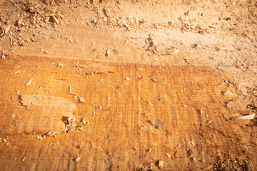 Raue Holzoberfläche