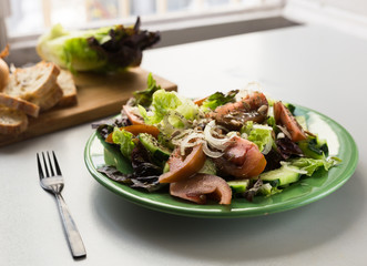 vegetable salad of greens, tomatoes and cucumbers on a green plate